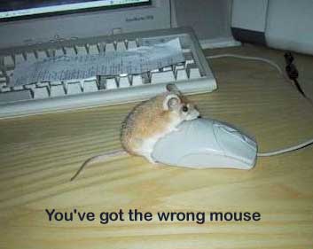 Wrong Mouse
