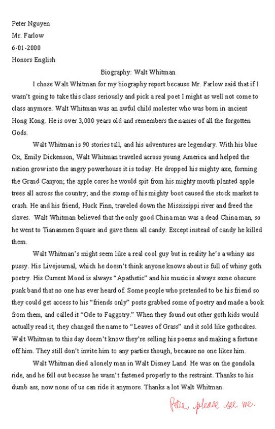Essay - Walt Whitman