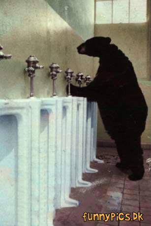 Bear Urinal
