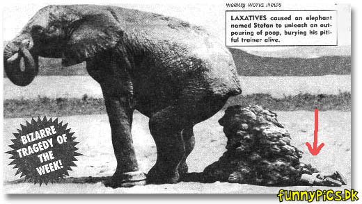 Elephant Laxatives
