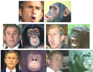 George Bush 2