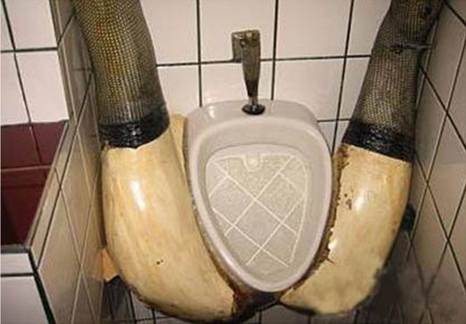Urinal 4