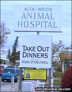 Animal Dinners