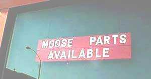 Moose Parts