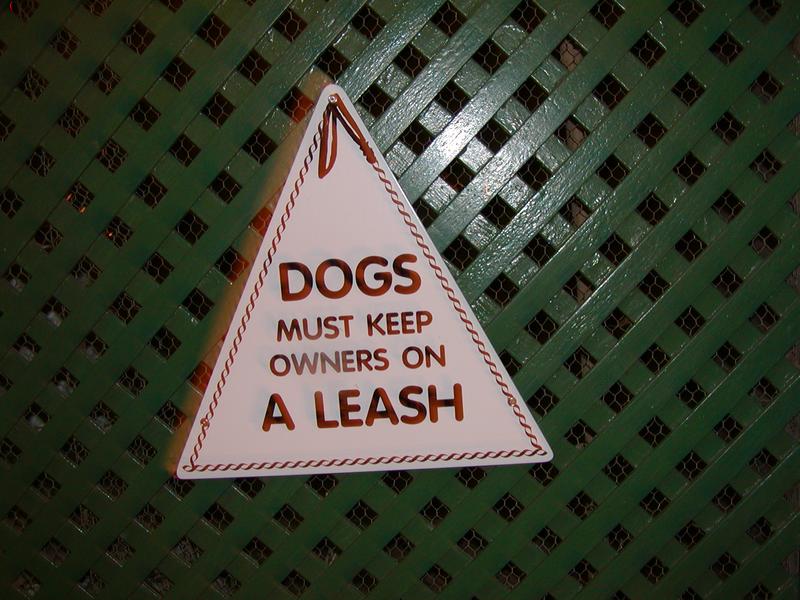 Owners On Leash